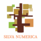 logo_silva__complet